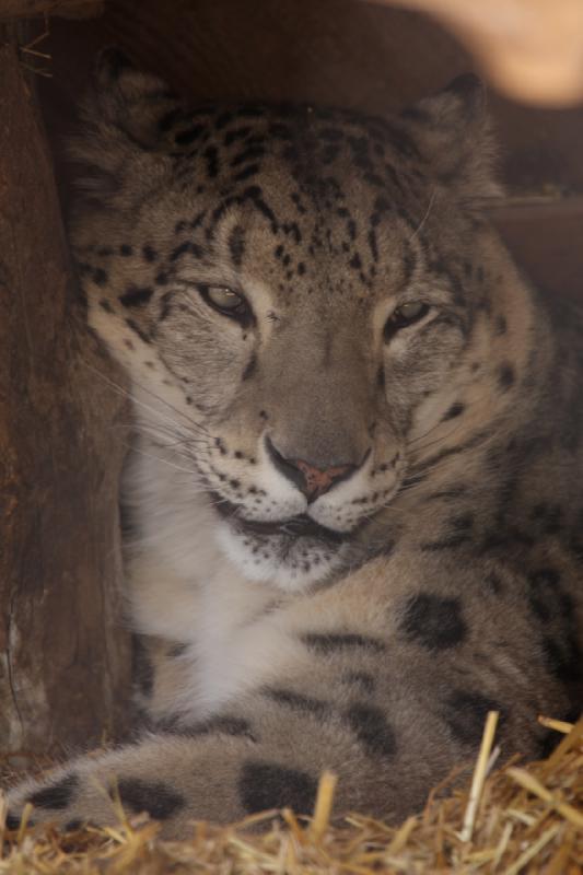 2012-03-25 14:23:52 ** Utah, Zoo ** 