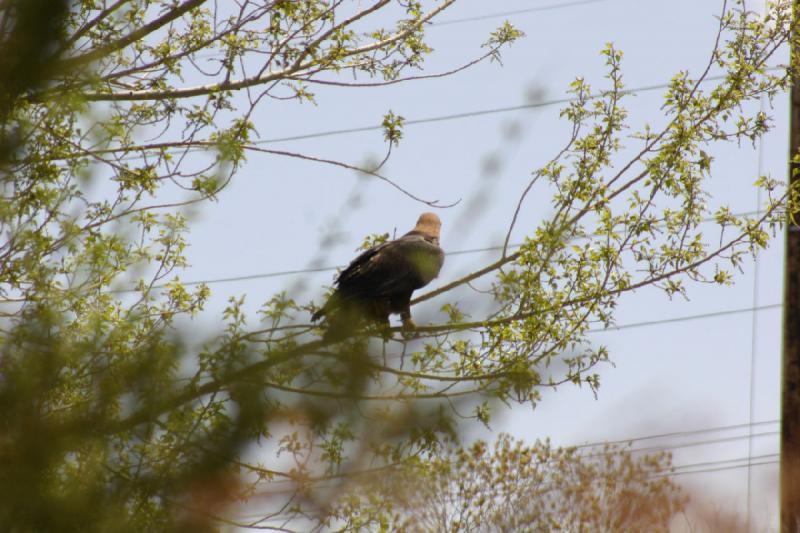 2008-05-04 14:02:22 ** Utah, Zoo ** 