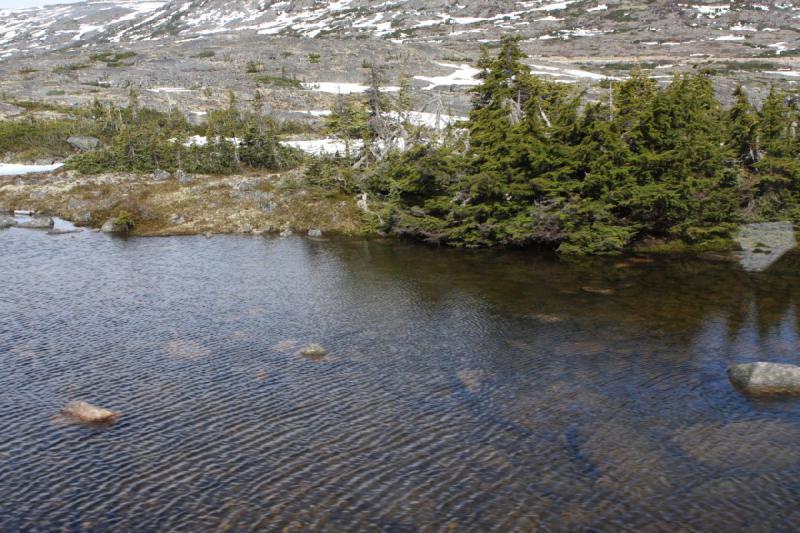 2012-06-21 09:42:26 ** Alaska, Canada, Cruise, Skagway ** 