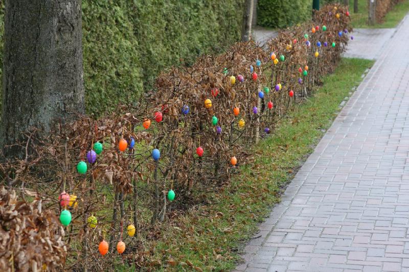2010-04-01 17:59:43 ** Easter, Germany, Oldenburg ** Easter eggs on a hedge on Hunteweg.