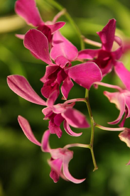 2014-03-14 11:24:17 ** Botanical Garden, Chicago, Illinois ** 