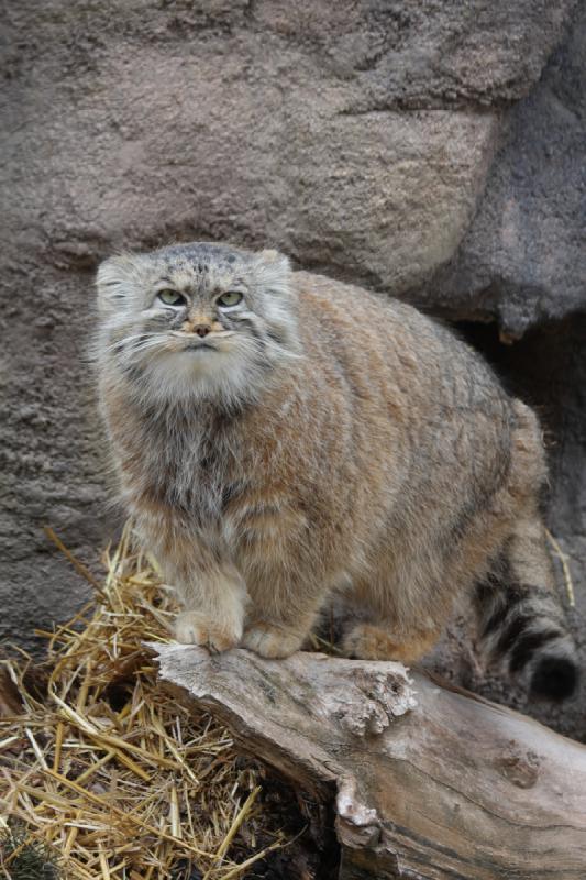 2012-03-25 14:09:16 ** Utah, Zoo ** 
