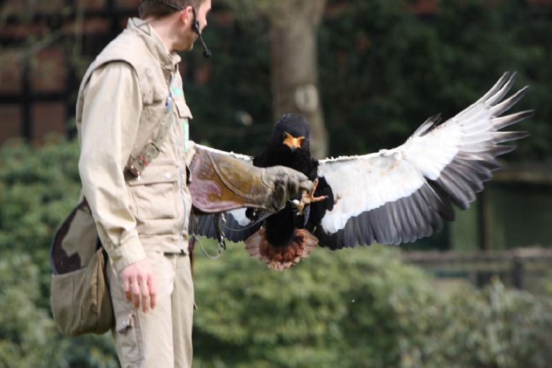 2010-04-13 14:33:59 ** Germany, Walsrode, Zoo ** 