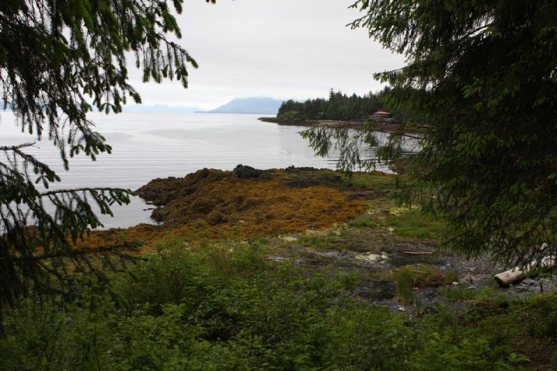 2012-06-19 09:51:57 ** Alaska, Cruise, Ketchikan, Totem Bight State Historic Park ** 2012-06-19 09:51:57 ** Alaska, Cruise, Ketchikan, Totem Bight State Historic Park **