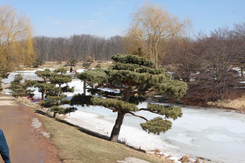 2014-03-14 12:36:56 ** Botanical Garden, Chicago, Illinois ** 