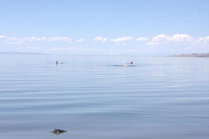 2014-08-15 14:45:59 ** Antelope Island, Manuel, Marc, Robin, Utah ** 