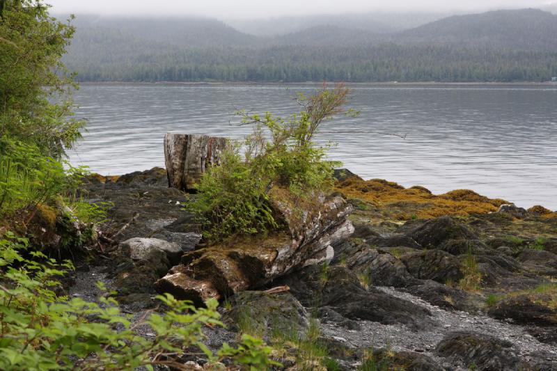 2012-06-19 09:53:51 ** Alaska, Ketchikan, Kreuzfahrt, Totem Bight State Historic Park ** 2012-06-19 09:53:51 ** Alaska, Ketchikan, Kreuzfahrt, Totem Bight State Historic Park **