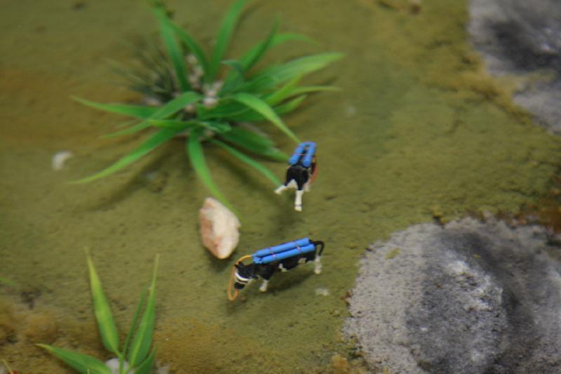 2013-07-26 22:59:47 ** Germany, Hamburg, Miniature Wonderland ** 