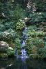 Waterfall at the koi pond.