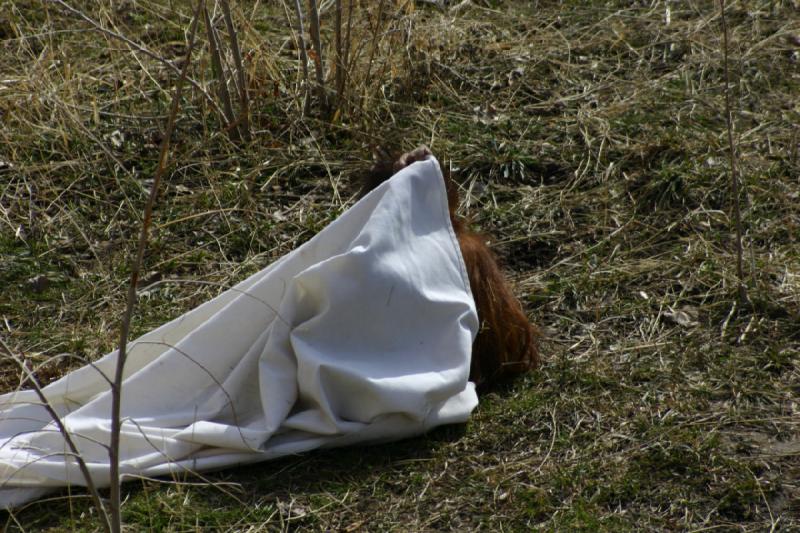 2007-03-11 13:16:34 ** Utah, Zoo ** The Baby orang-utan had a blanket to play with.