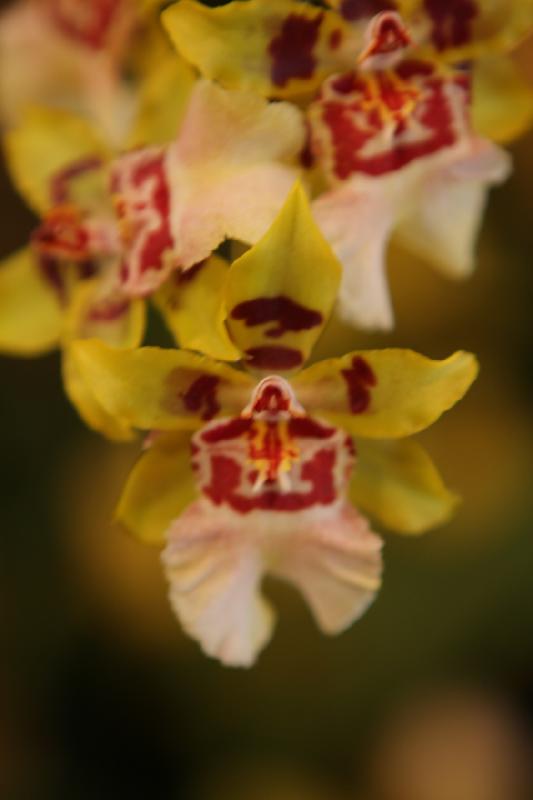 2014-03-14 11:10:23 ** Botanical Garden, Chicago, Illinois ** 