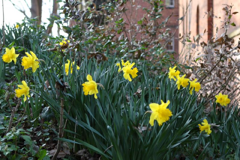 2010-04-07 18:03:39 ** Germany, Kiel ** 