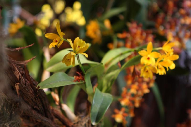2014-03-14 11:23:35 ** Botanical Garden, Chicago, Illinois ** 