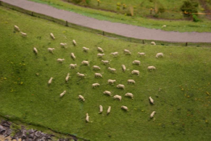 2006-11-25 10:10:08 ** Deutschland, Hamburg, Miniaturwunderland ** Schafe halten das Gras auf dem Deich kurz.