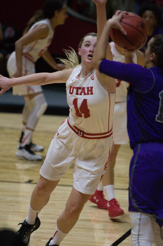 2016-12-17 13:30:10 ** Basketball, Daneesha Provo, Malia Nawahine, Paige Crozon, Utah Utes, Weber State, Women's Basketball ** 