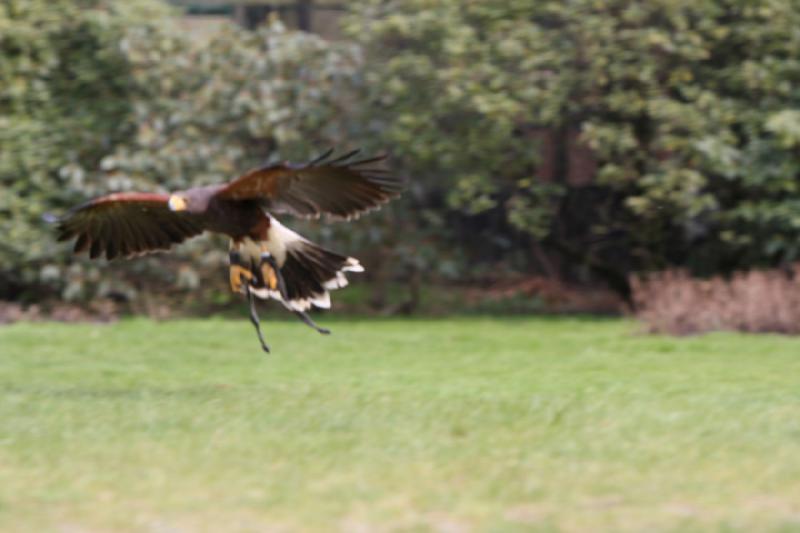 2010-04-13 14:29:53 ** Germany, Walsrode, Zoo ** 