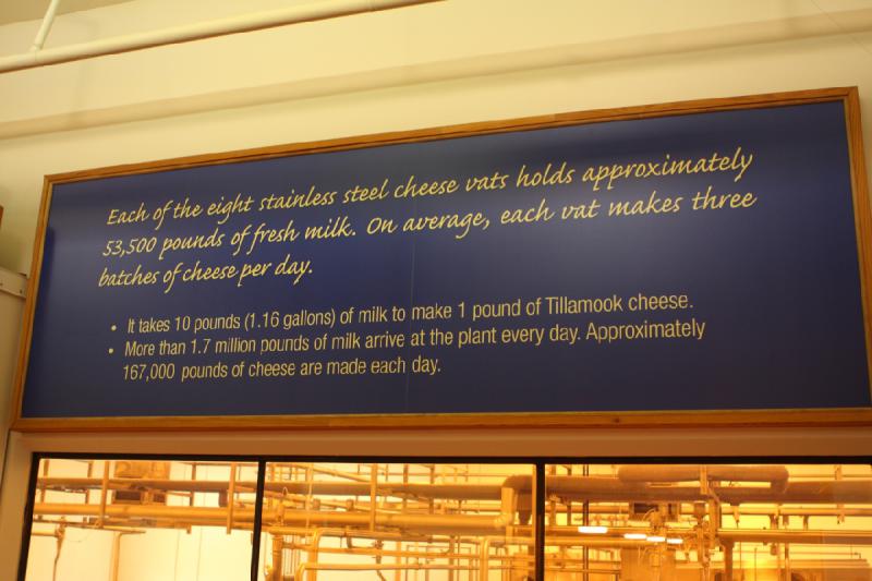 2011-03-25 15:56:17 ** Tillamook Cheese Factory ** Each of the eight stainless steel cheese vats holds approximately 53,500 pounds of fresh milk. On average, each vat makes three batches of cheese per day. It takes 10 pounds (1.16 gallons) of milk to make 1 pound of Tillamook cheese. More than 1.7 million pounds of milk arrive at the plant every day. Approximately 167,000 pounds of cheese are made each day.