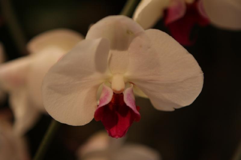 2014-03-14 11:11:04 ** Botanischer Garten, Chicago, Illinois ** 