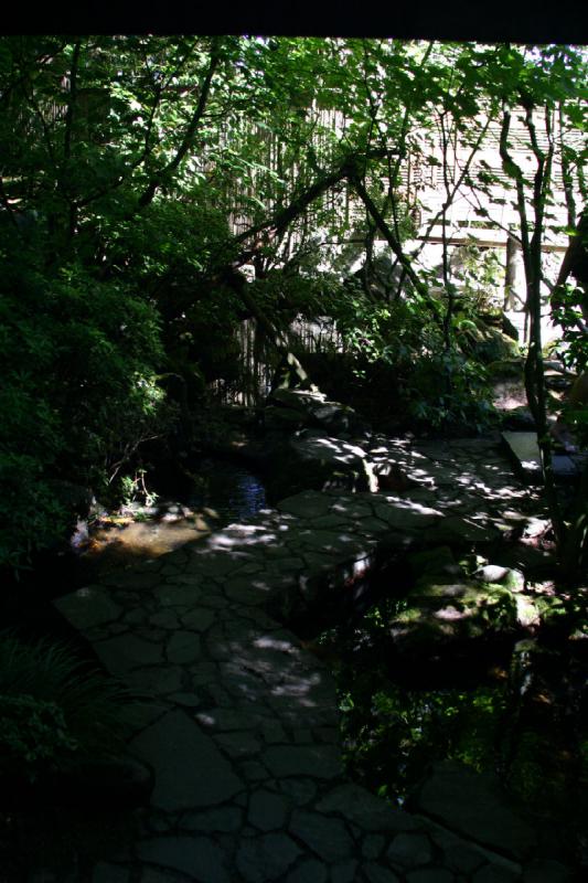 2007-09-02 14:53:16 ** Portland ** A small path into the green wilderness.