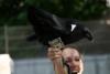The raven lands on the arm of one visitor and picks up the money.