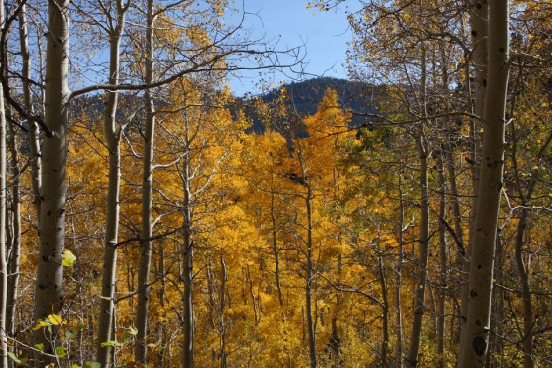 2010-10-01 14:15:57 ** Big Cottonwood Canyon, Utah ** 