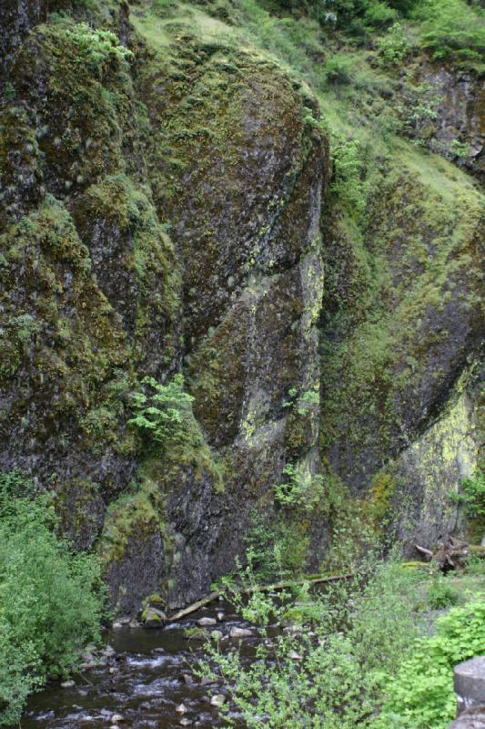 2005-05-06 17:14:59 ** Multnomah Falls ** Rock covered in moss. 2005-05-06 17:14:59 ** Multnomah Falls ** Rock covered in moss.