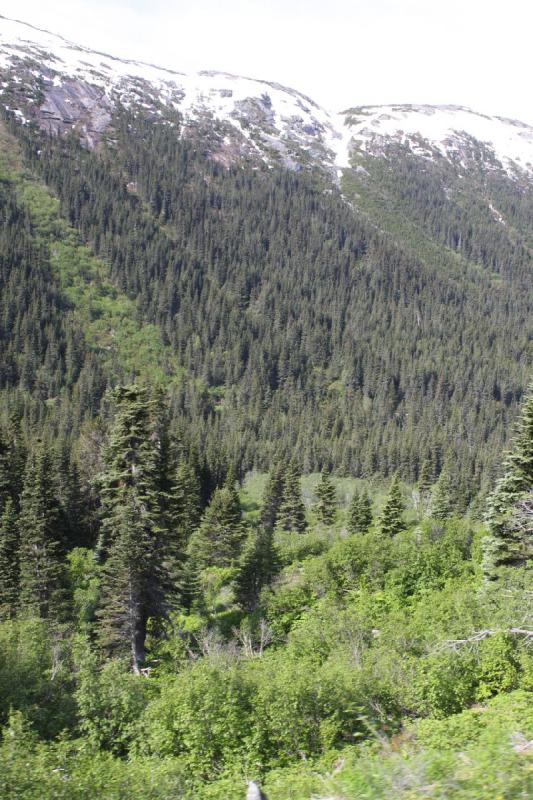 2012-06-21 09:15:30 ** Alaska, Cruise, Skagway ** 