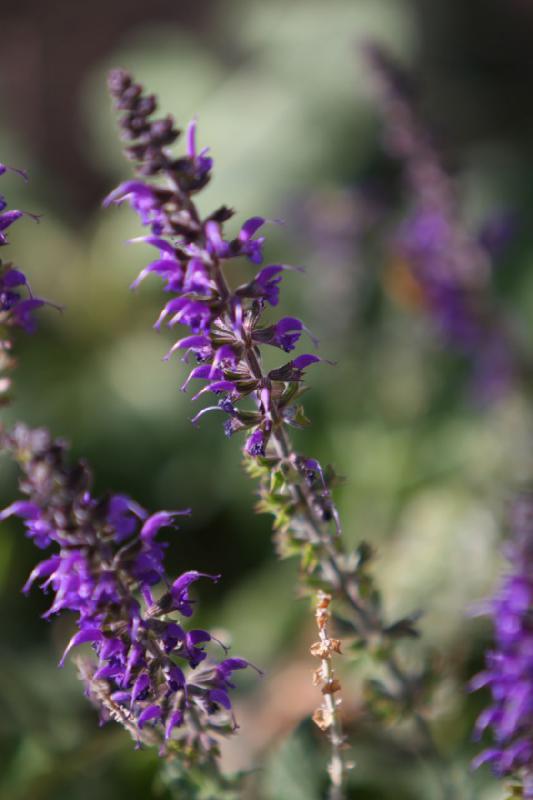 2012-09-29 17:36:36 ** 