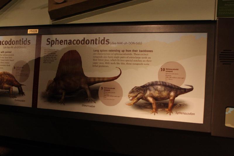2014-03-13 13:14:33 ** Chicago, Field Museum, Illinois ** 
