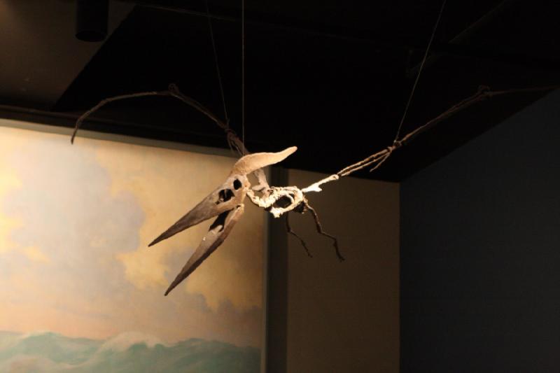2014-03-13 12:58:27 ** Chicago, Field Museum, Illinois ** 