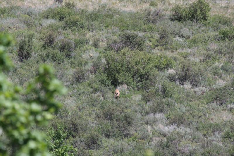 2012-06-27 12:23:07 ** Bear Lake, Idaho ** 