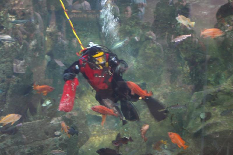 2012-06-16 10:08:07 ** Aquarium, Seattle ** 