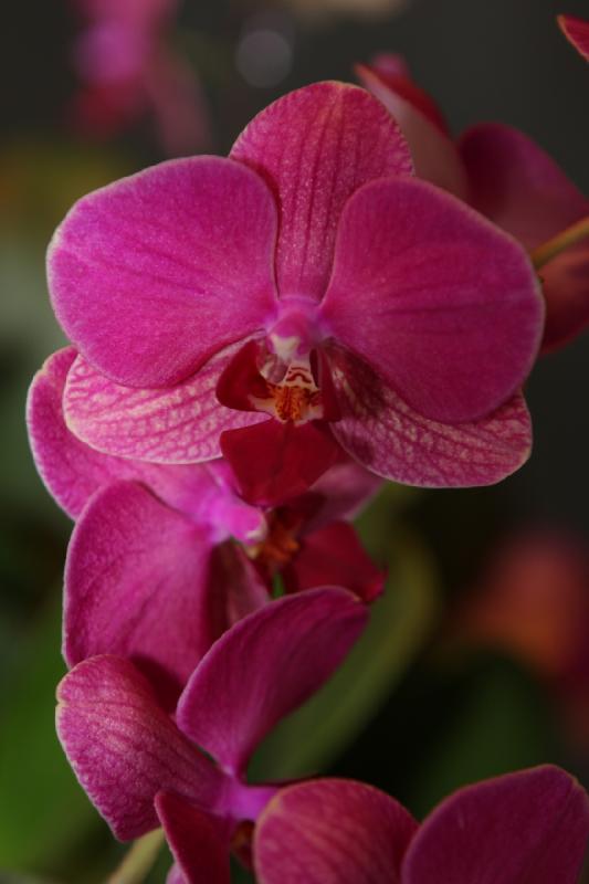 2014-03-14 12:06:27 ** Botanical Garden, Chicago, Illinois ** 
