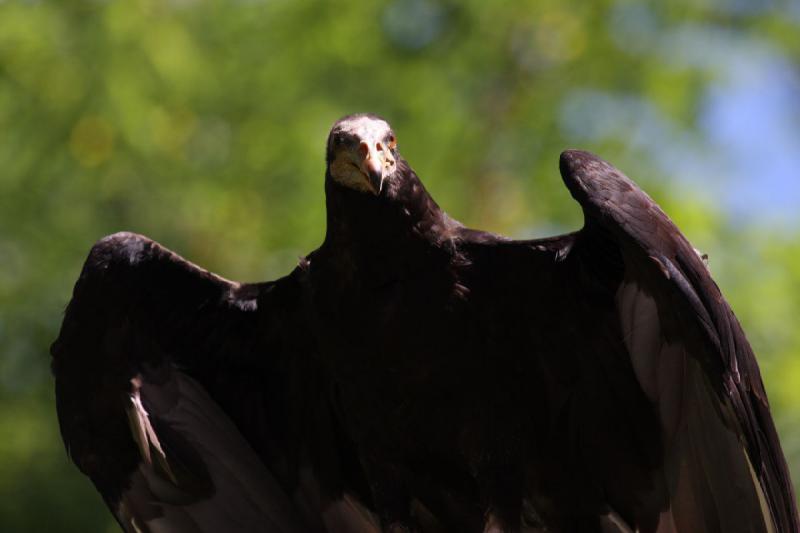 2011-07-15 15:13:12 ** Utah, Zoo ** 