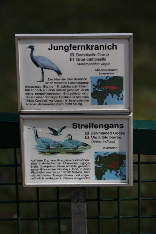 2010-04-13 13:19:17 ** Germany, Walsrode, Zoo ** 