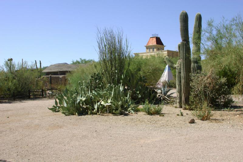 2006-06-17 15:22:28 ** Cactus, Tucson ** Vegetation on the side of the rail.