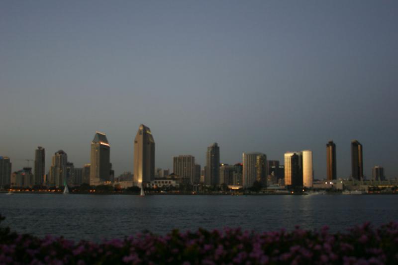 2008-03-21 19:15:10 ** San Diego ** Skyline of San Diego. In the foreground are some flowers of Coronado Island, from where one has this view of the city.
