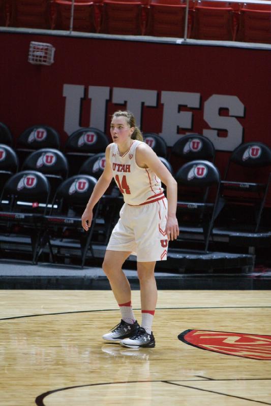2017-01-15 13:09:29 ** Basketball, Cal, Damenbasketball, Paige Crozon, Utah Utes ** 