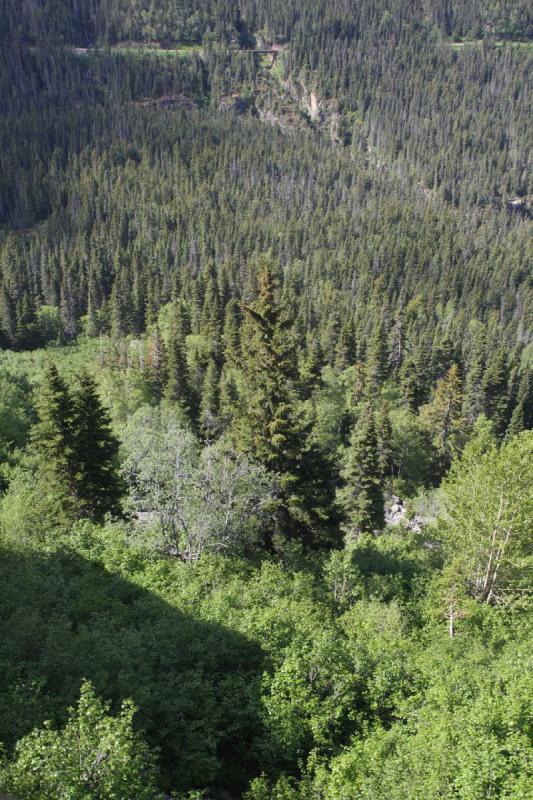 2012-06-21 10:50:23 ** Alaska, Cruise, Skagway ** 
