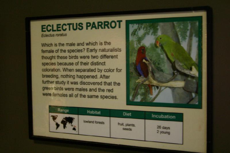 2007-06-18 12:21:00 ** Utah, Zoo ** Schild für den Edelpapagei.