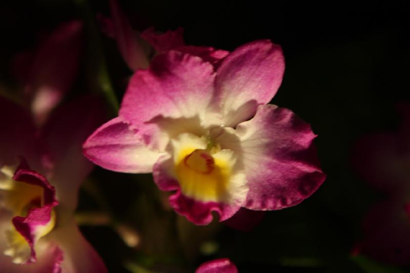 2014-03-14 11:21:10 ** Botanical Garden, Chicago, Illinois ** 