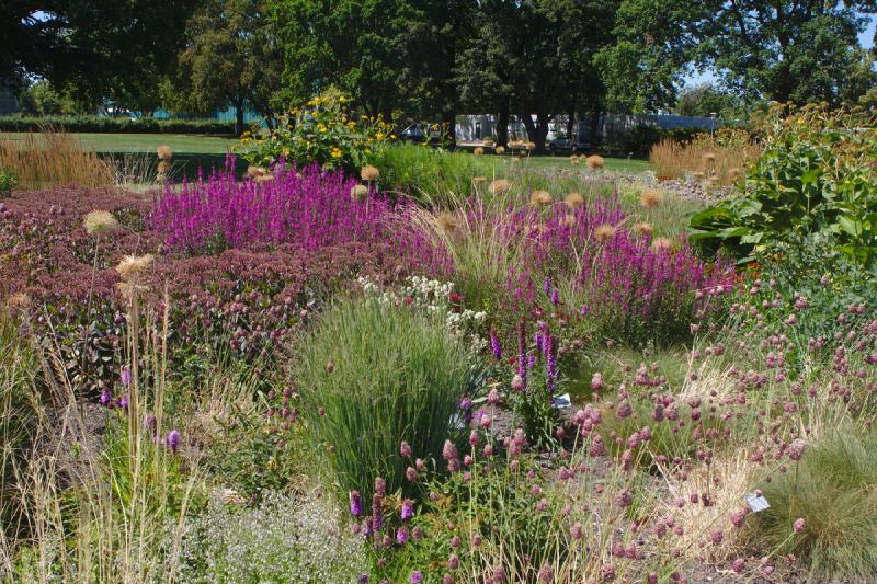 2019-07-23 13:26:43 ** Botanischer Garten, Deutschland, Erfurt ** 