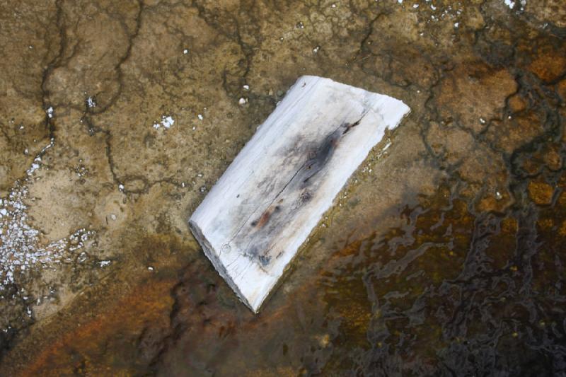 2008-08-15 11:59:55 ** Yellowstone National Park ** A piece of wood inside the water.