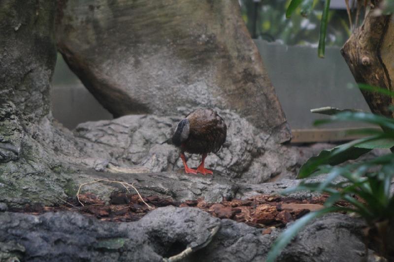 2014-03-12 11:21:20 ** Chicago, Illinois, Shedd Aquarium ** 