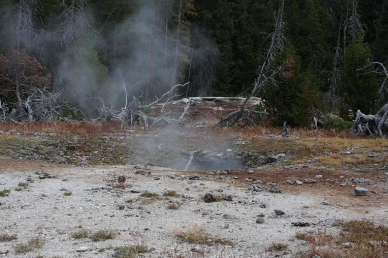 2008-08-15 11:55:56 ** Yellowstone National Park ** At many places inside Yellowstone, steam comes out from the ground.
