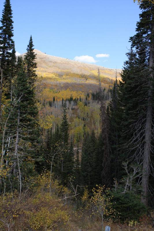 2010-10-02 14:47:30 ** Big Cottonwood Canyon, Utah ** 2010-10-02 14:47:30 ** Big Cottonwood Canyon, Utah **