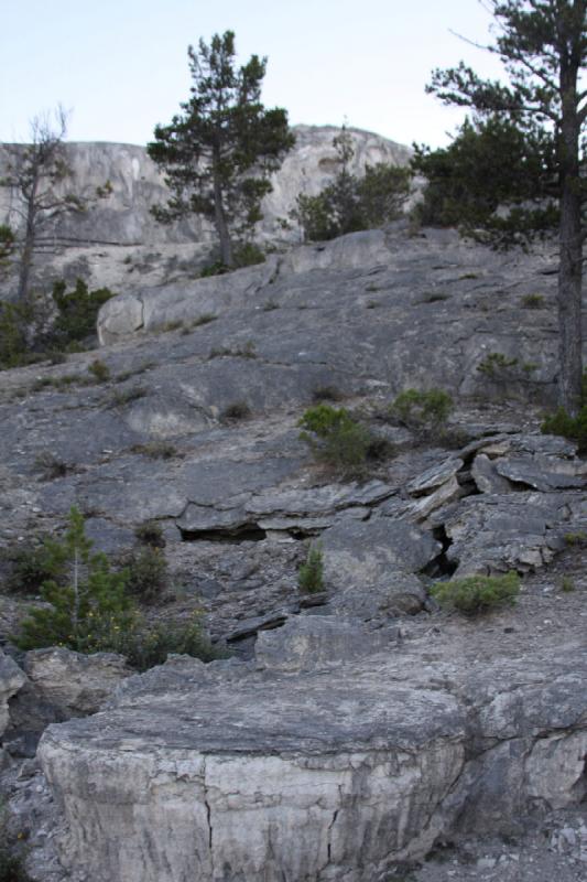 2008-08-16 20:03:50 ** Yellowstone Nationalpark ** 