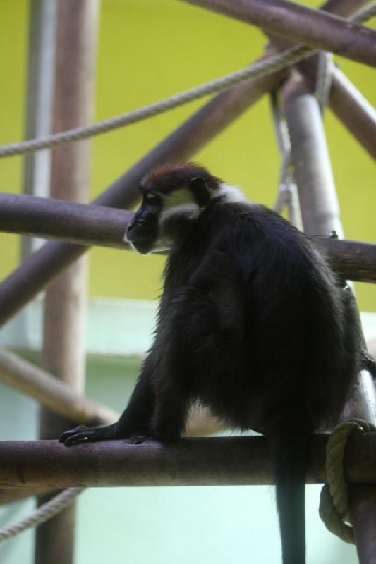 2010-04-10 15:49:50 ** Deutschland, München, Zoo ** 