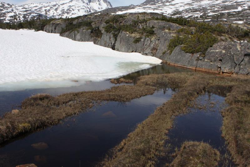 2012-06-21 09:53:14 ** Alaska, Canada, Cruise, Skagway ** 