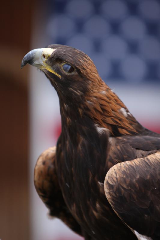 2011-05-07 11:28:10 ** Utah, Zoo ** 